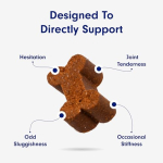 Petlab Co. Joint Care Chews for Dogs - High Levels of Glucosamine, Green Lipped Mussels, Omega 3 and Turmeric - Hip and Joint Supplement for Dogs to Actively Support Mobility - Image 5