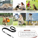 Dog Whistle, 2 Pack Adjustable Ultrasonic Dog Whistle to Stop Barking for Dogs, Recall Training, Professional Ultrasonic Silent Dog Whistle Training Control Tool for Dogs, with Black Strap Lanyard - Image 6
