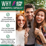 Chlorophyll Capsules 600 mg - Natural Chlorophyll Pills for Women & Men - Highly BioAvailable Organic Chlorophyll Supplement for Energy, Immunity & Skin Health - Internal Deodorant, Detox & Cleanse - Image 4